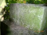 image of grave number 93974